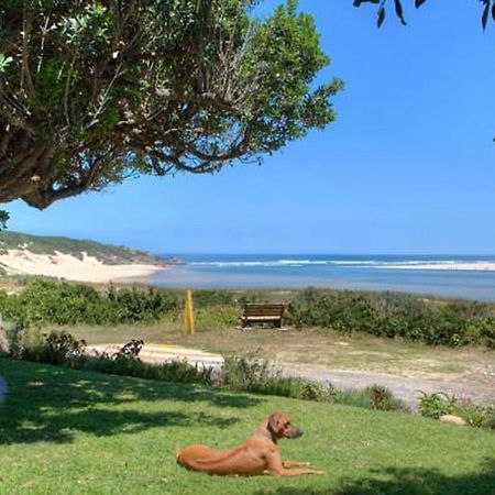 Milkwood Manor B & B Kenton-on-Sea Extérieur photo