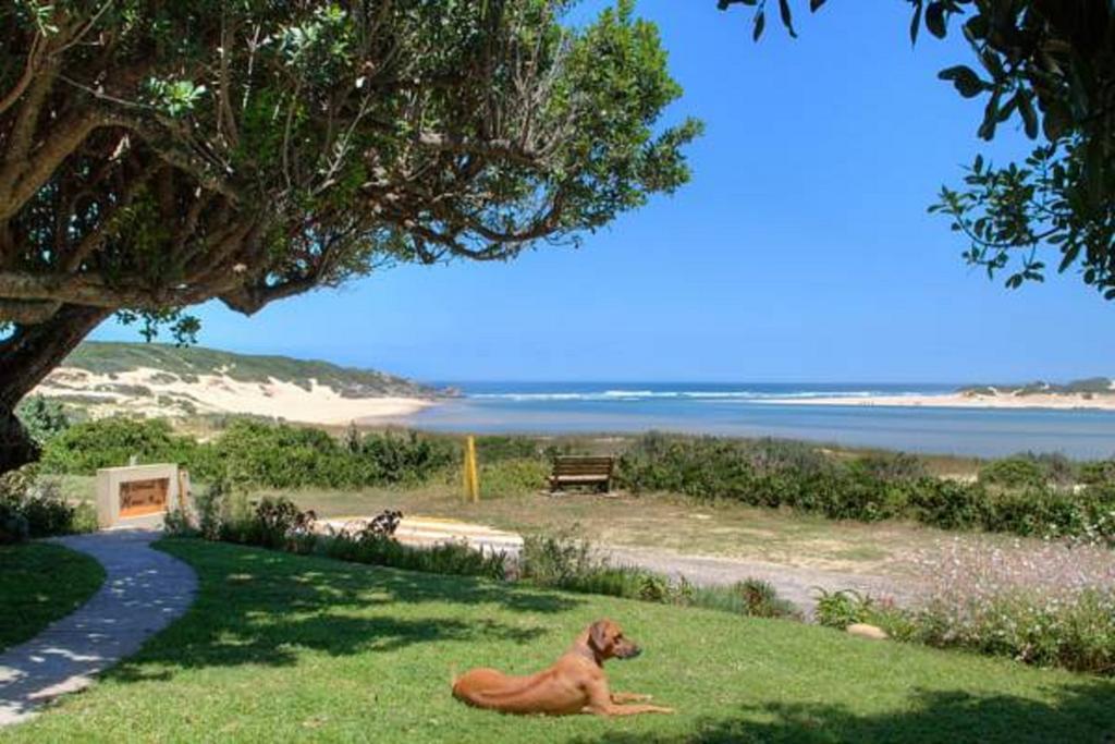Milkwood Manor B & B Kenton-on-Sea Extérieur photo